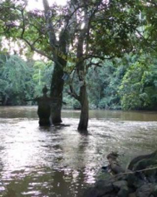 Oshun Fluss mit der Orisha Oshun von Shaka am Ojubo Oshogbo